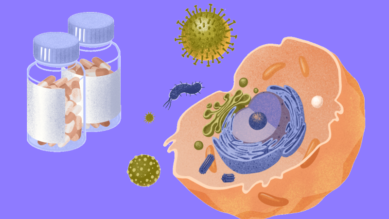 Derinat Derinat - «Россия сегодня», 800, 13.10.2021